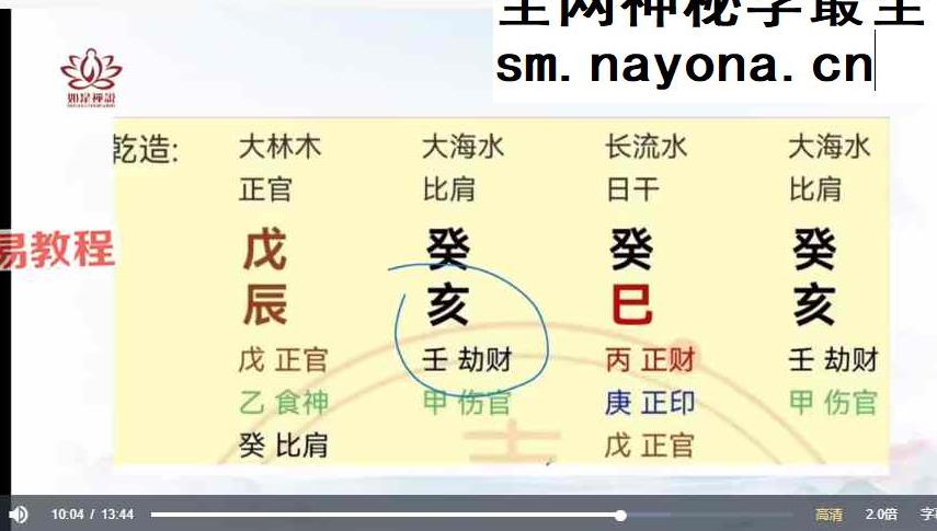 【如是禅说讲堂】四柱8字-大运流年流月应期 视频18集