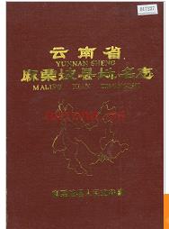 云南省麻栗坡县地名志 1990版.