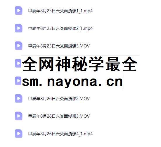2512330崔文举甲辰年8月25日六爻面授课 两日8集视频Y插图