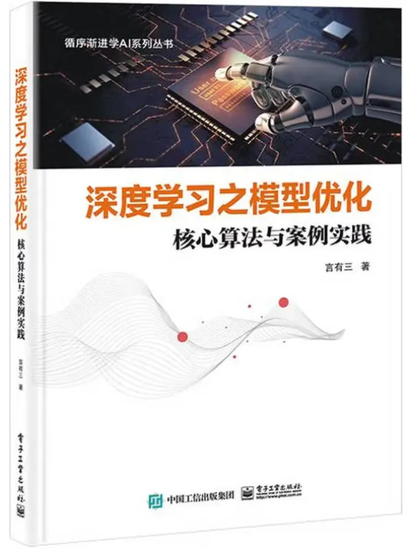 《深度学习之模型优化:核心算法与案例实践》言有三