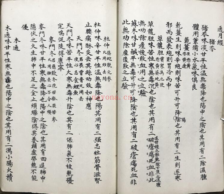 中医古籍《雷公炮灸》155页双页版 中医 第5张