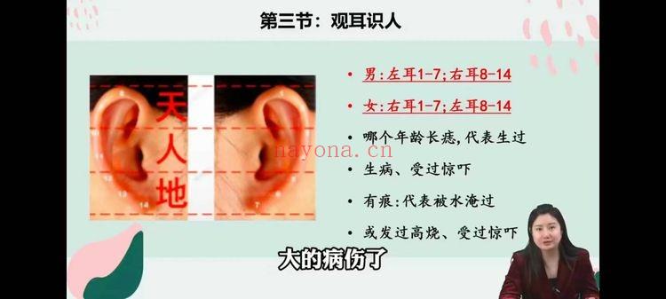 张芝鸣《面相识人学》视频课14集