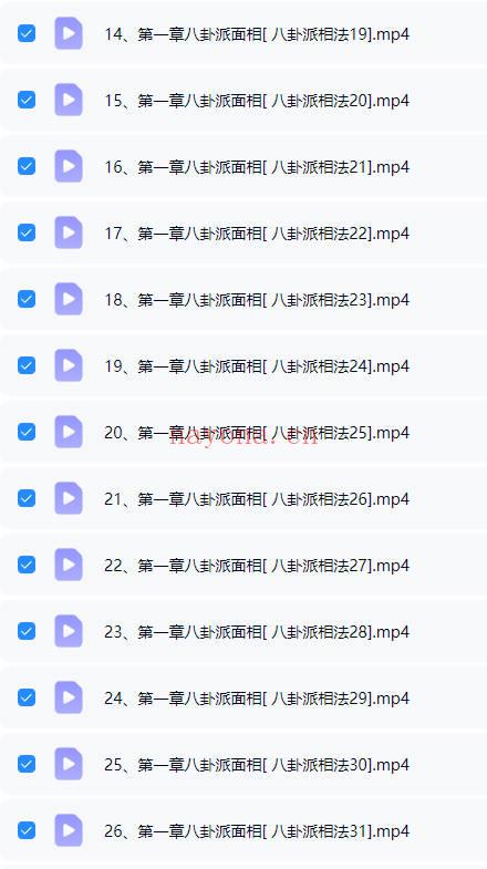 李洪亮《八卦派相法及五雷法》视频课41集