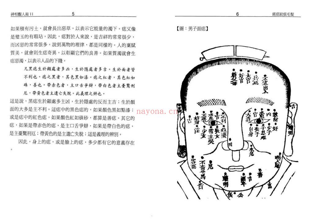 《斑痣纹痕毛发》9