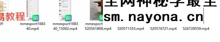 法钰 九天雷祖真符视频6集+课件