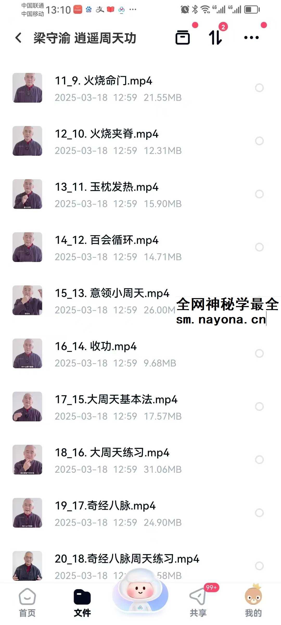 梁守渝《逍遥周天功》24集