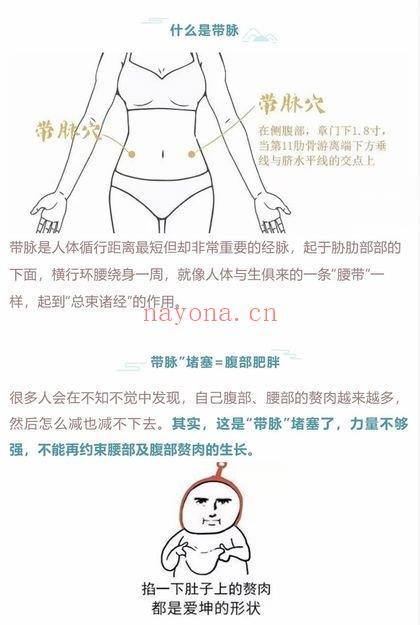 迷罗亲讲《带脉训练营》玉带环腰调理带脉「带脉总束诸经」视频课9集