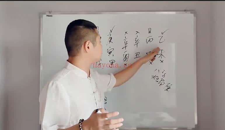 四品《四柱八字系统教程》视频课63集