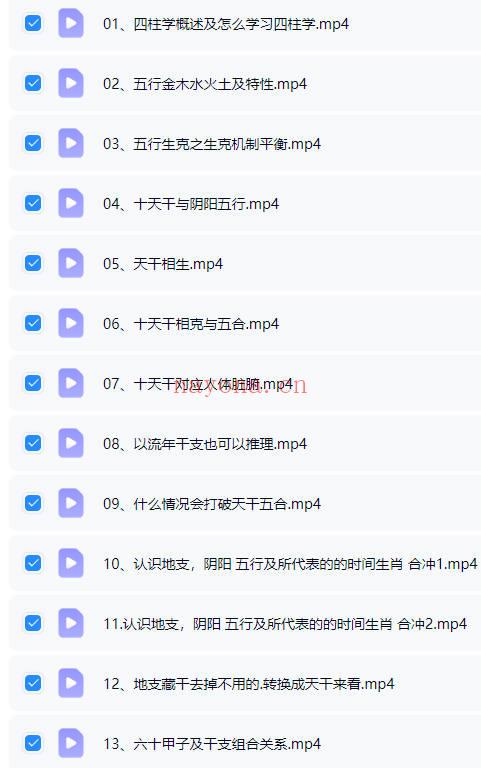 四品《四柱八字系统教程》视频课63集