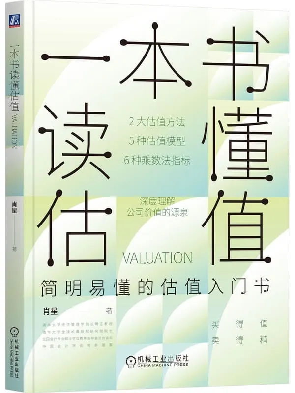 《一本书读懂估值》肖星
