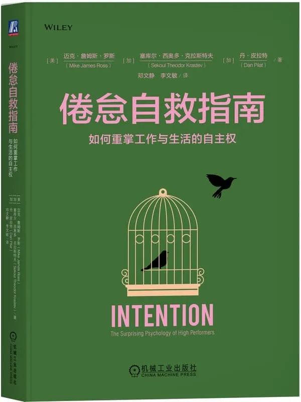 《倦怠自救指南:如何重掌工作与生活的自主权》迈克·詹姆斯·罗斯