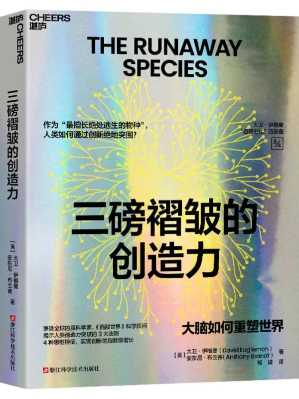 《三磅褶皱的创造力》大卫·伊格曼