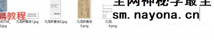 茅山铁牛防身术+九龙护身法 视频+课件