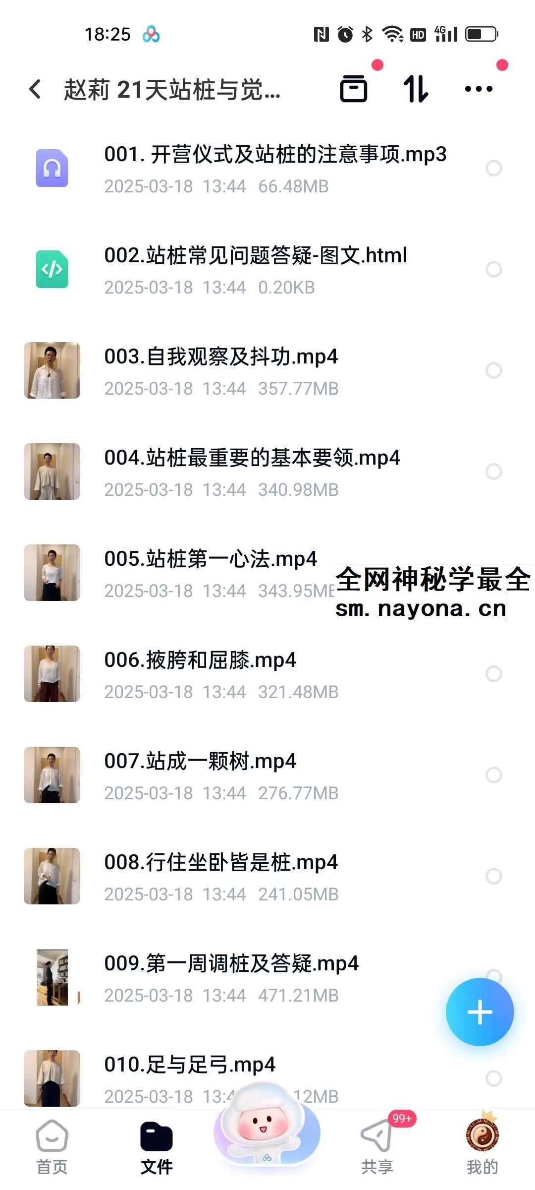 赵莉 21天站桩与觉知营23集