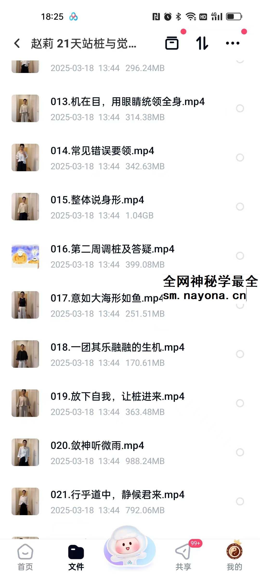 赵莉 21天站桩与觉知营23集