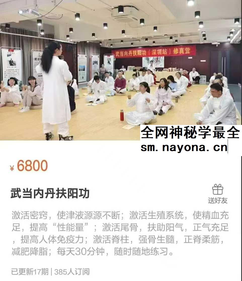 武当内丹扶阳功17集