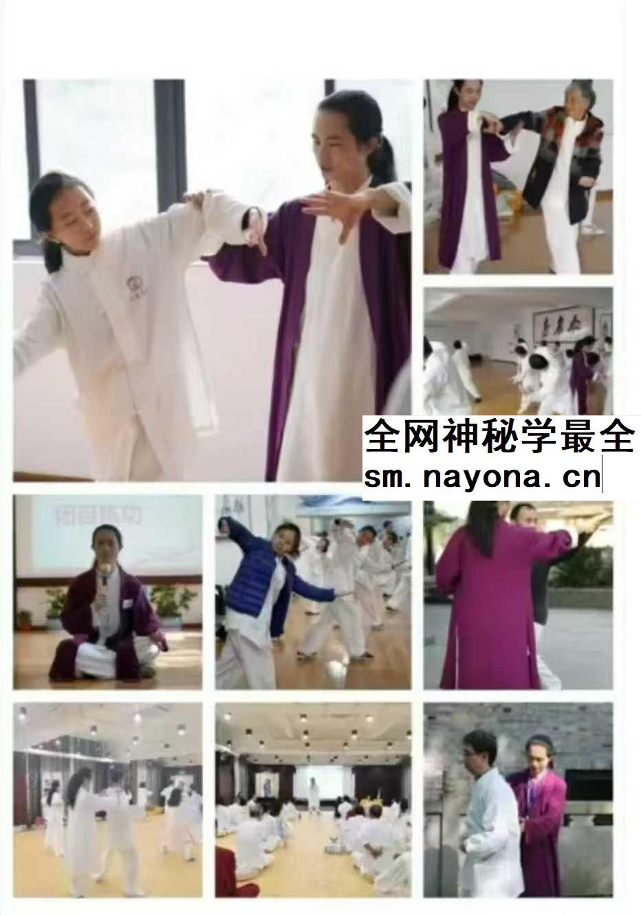 武当内丹扶阳功17集
