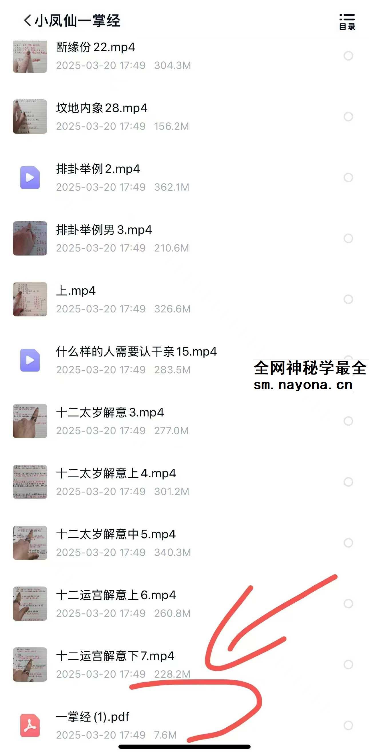 小凤仙一掌经30集+文档