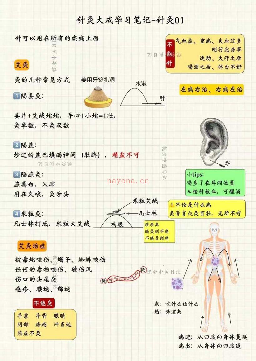 祝余《针灸大成图文笔记》(根据倪海厦老师视频整理)68页 彩色PDF电子版
