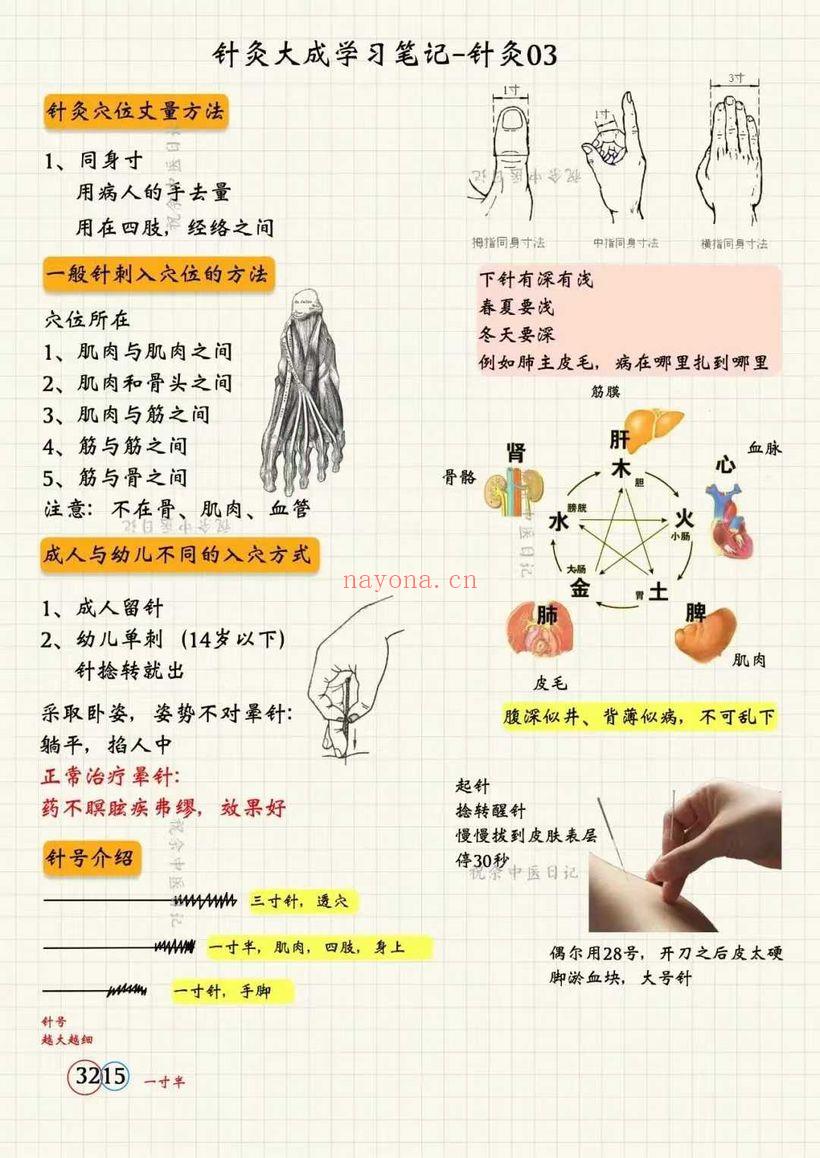祝余《针灸大成图文笔记》(根据倪海厦老师视频整理)68页 彩色PDF电子版