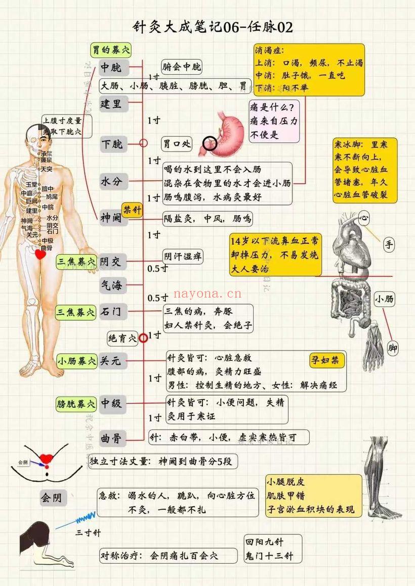 祝余《针灸大成图文笔记》(根据倪海厦老师视频整理)68页 彩色PDF电子版