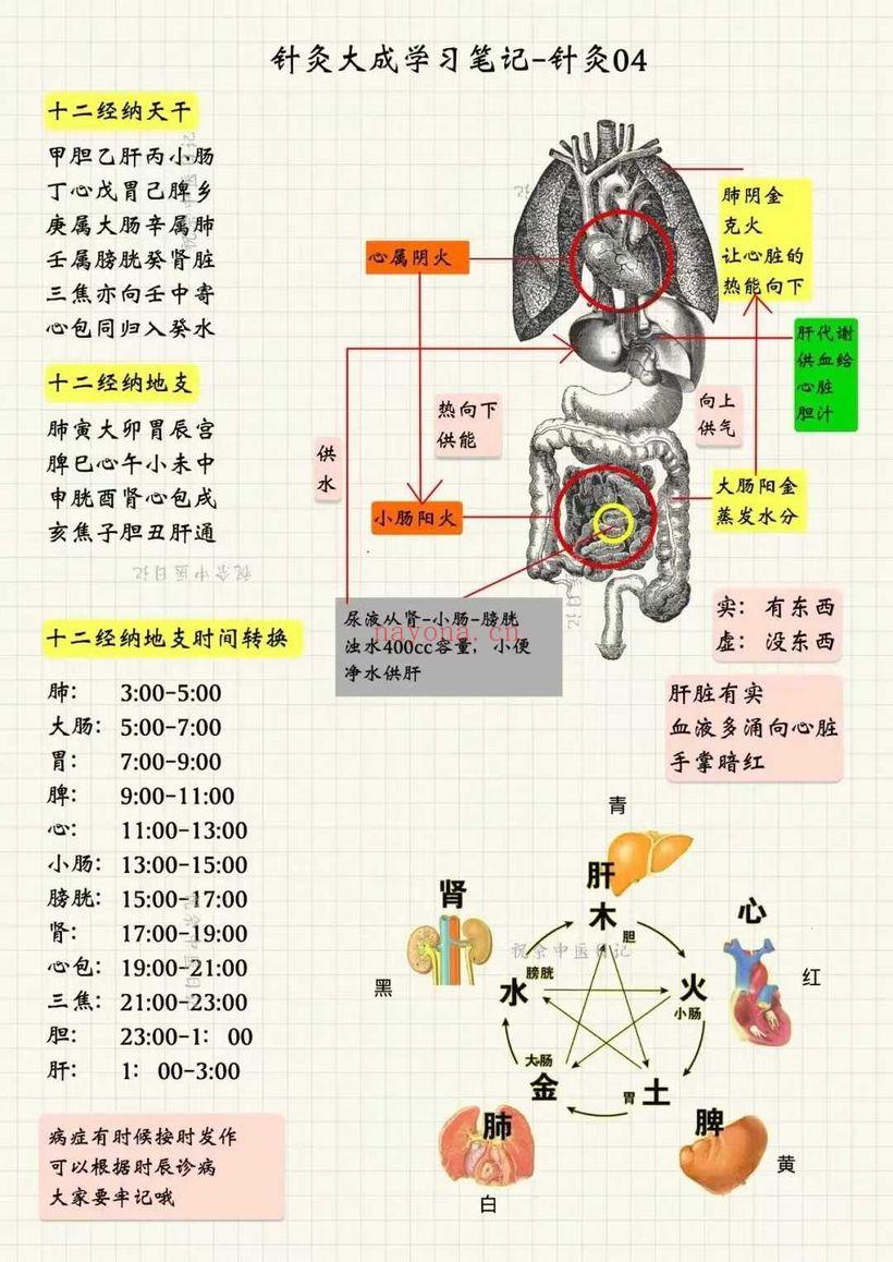 祝余《针灸大成图文笔记》(根据倪海厦老师视频整理)68页 彩色PDF电子版