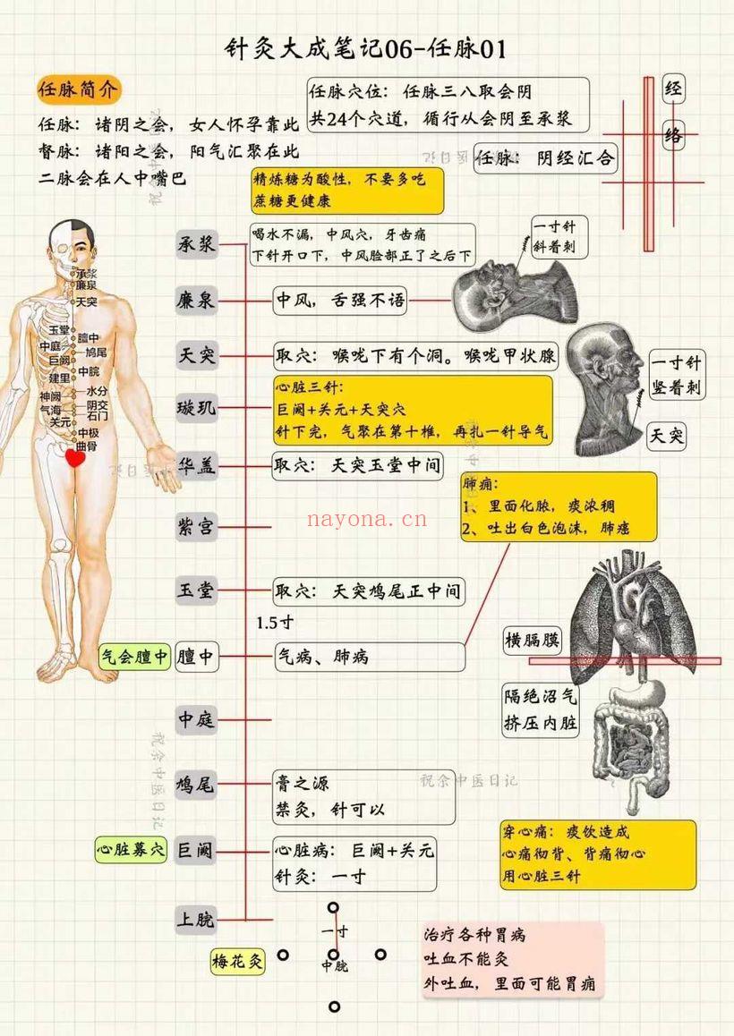 祝余《针灸大成图文笔记》(根据倪海厦老师视频整理)68页 彩色PDF电子版
