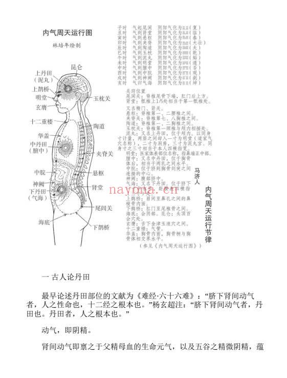 存诚子《内丹实修理法精要》449页.PDF电子版