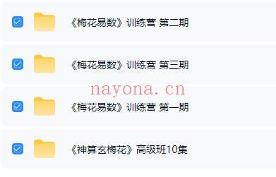 玄祥 李孟谦《梅花易数1-3期训练营》+《神算玄梅花高级班》共25集视频课
