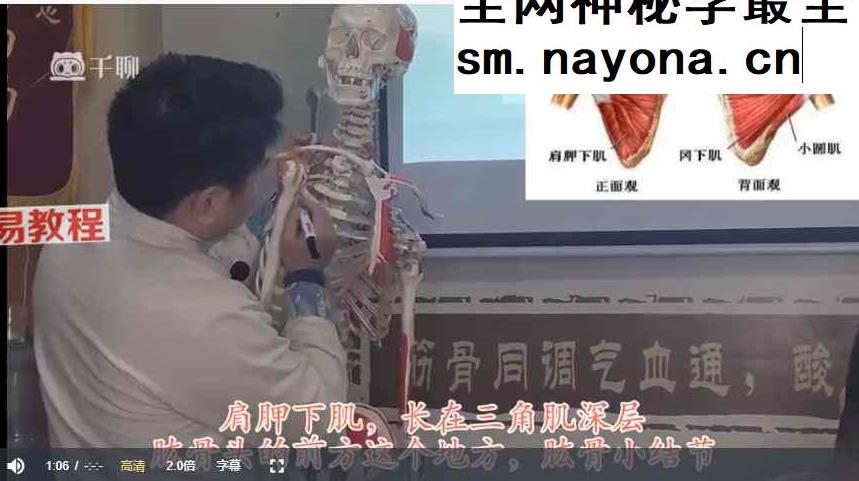 无痛筋骨同调——赵鹏飞(全11讲)视频