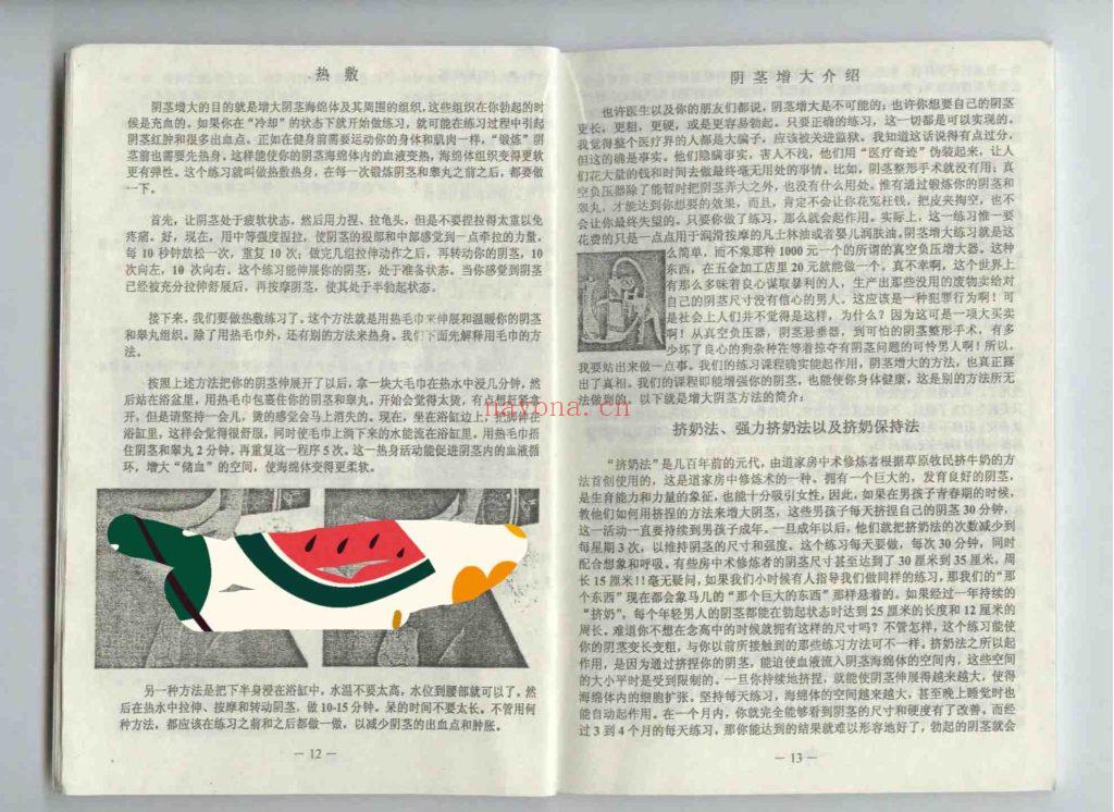 《乾人回春·房中壮阳系列功法》8