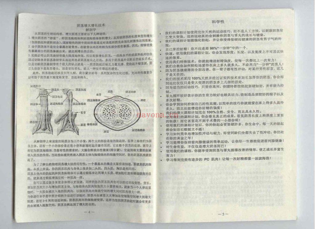 《乾人回春·房中壮阳系列功法》8
