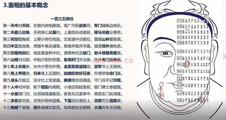 照明居士《识人术高级班》视频课28集