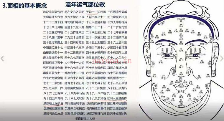 照明居士《识人术高级班》视频课28集