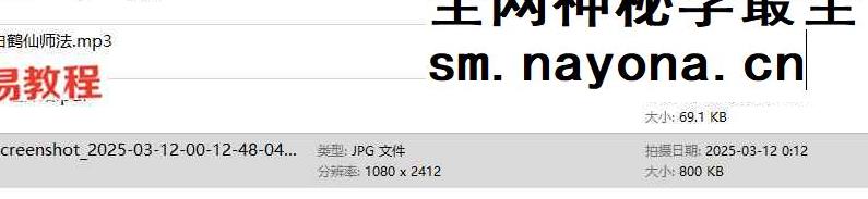 明德 白鹤仙师法录音+课件