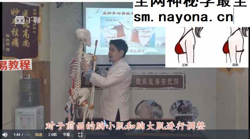 无痛筋骨同调——赵鹏飞（全11讲）视频