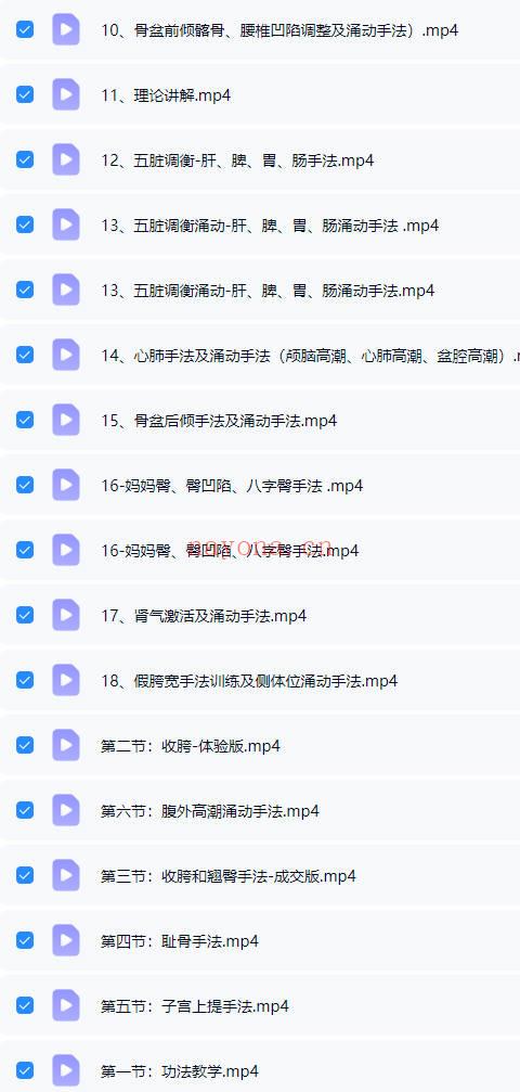 王红锦《丹田涌动脏腑疗愈》26节视频