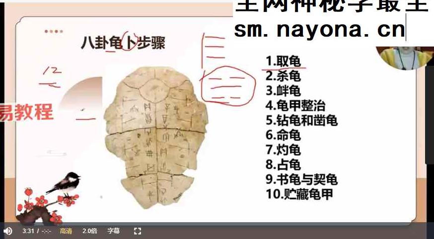 久珍《梅花易数》课程视频30集
