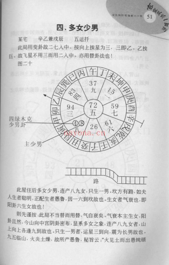 鲁木森《玄空风水一百例》319页.PDF电子版