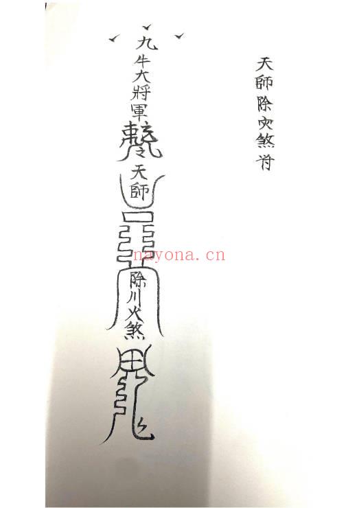 《九牛斗符秘》41页.PDF电子版