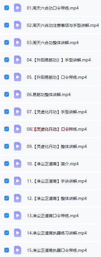 洞玄元厚《修身必学五术》系列课15节视频