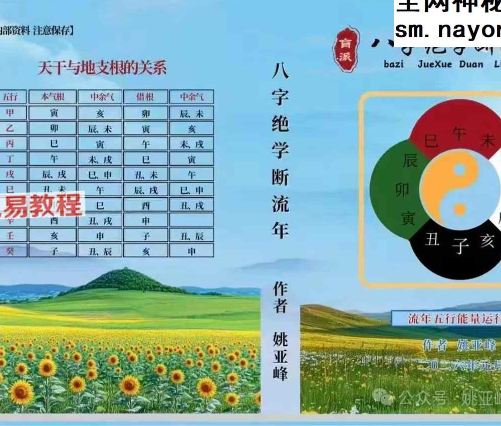 姚亚峰 《盲派八字绝学断流年》.pdf 506页