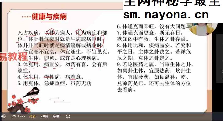 久珍《梅花易数》课程视频30集