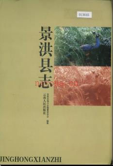 云南省景洪县志.pdf下载 | 西南地区 | 县志下载 | 中国地方史志网