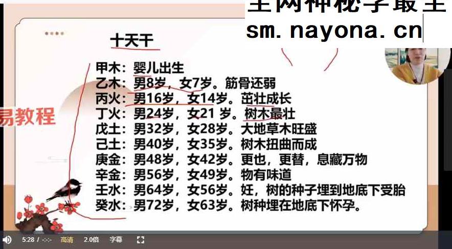 久珍《梅花易数》课程视频30集