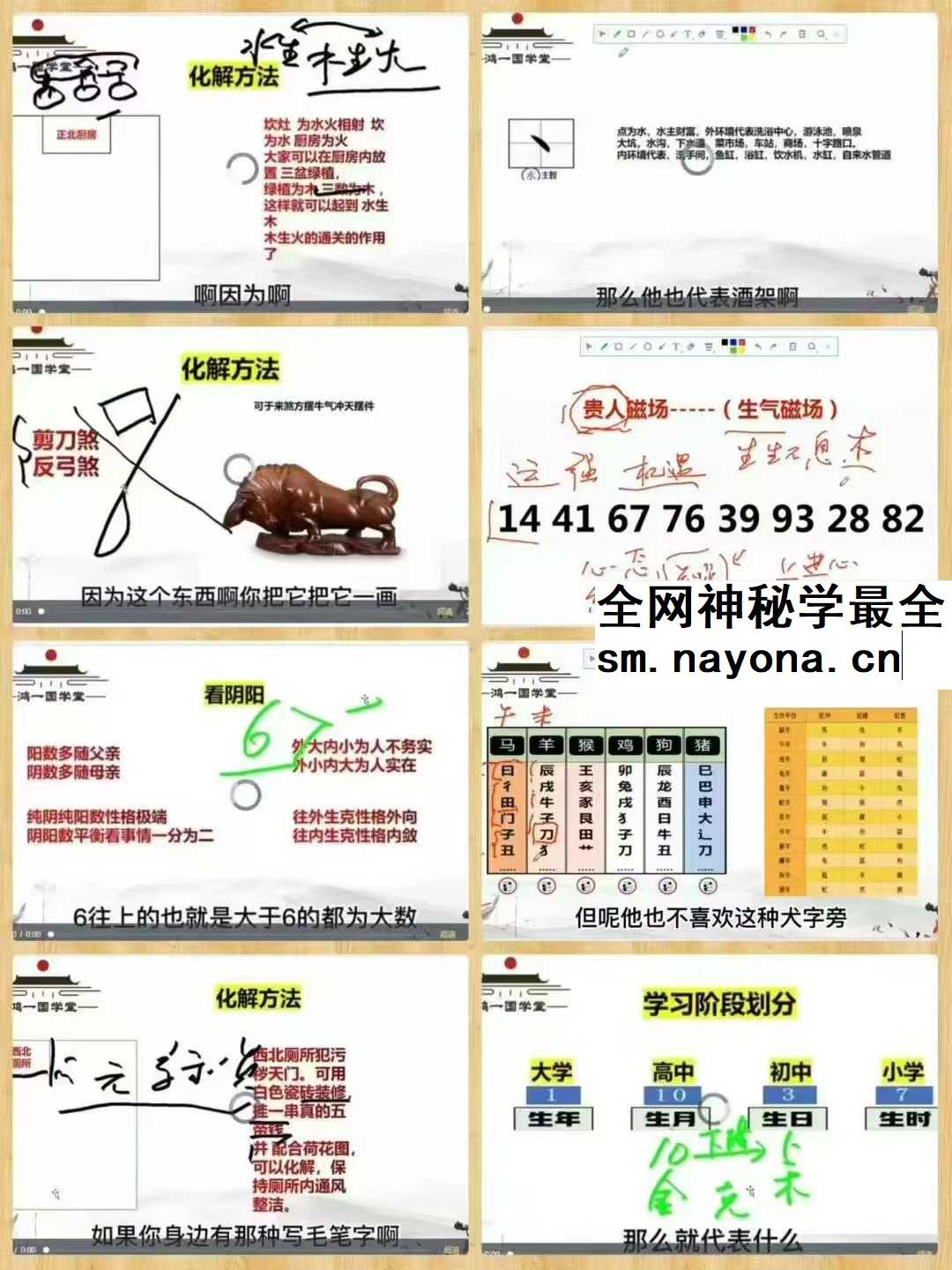 泽东霖 周易预测课程完整 30集视频约12.5小时
