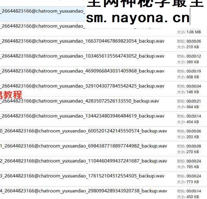 愈宸-灵宝荡秽真诀 录音+音频