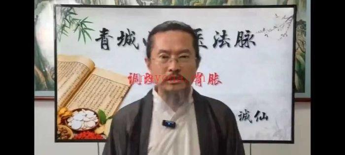 青城山道医 诚仙老师《太素神一手》视频课5集