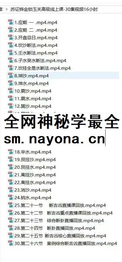 苏证铧《金锁玉关高级线上课》30集+《提高班线上理论课》65集视频