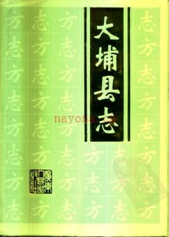 广东省大埔县志 1992版.pdf电子版下载 | 华南地区 | 县志下载 | 中国地方史志网